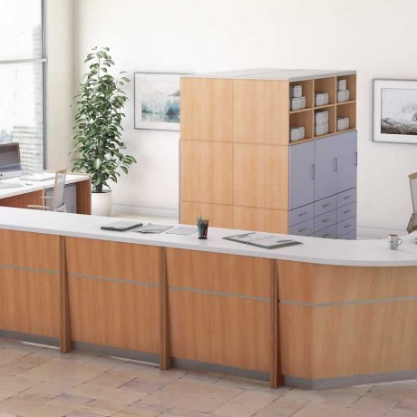 cube-circulation-desk cube-circulation-desk
